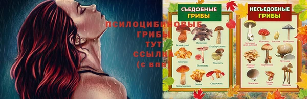 2c-b Нефтекумск